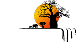 Far Out Tours